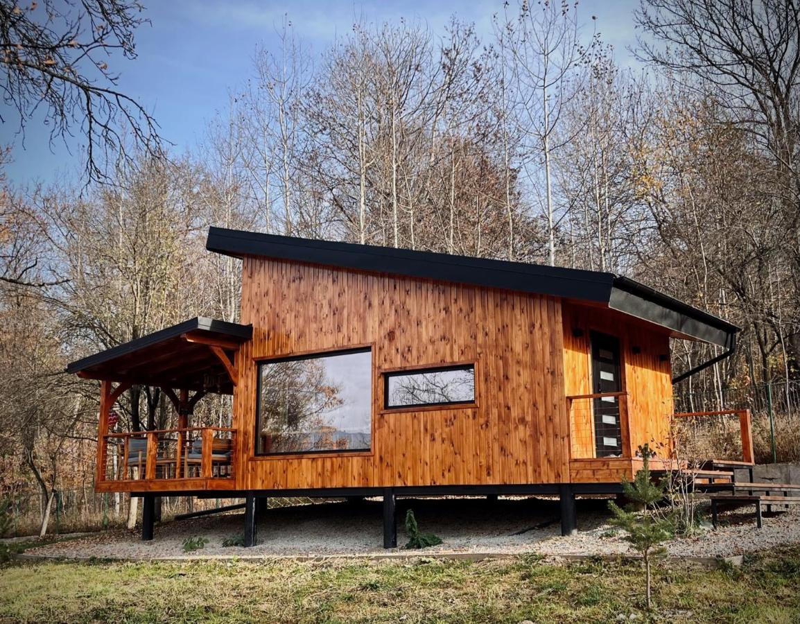 Moodysun Studio, Remote Tiny Home Comarnic Exterior foto